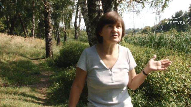 Активисты продолжают борьбу за уголок живой природы в центре Тулы смотреть онлайн