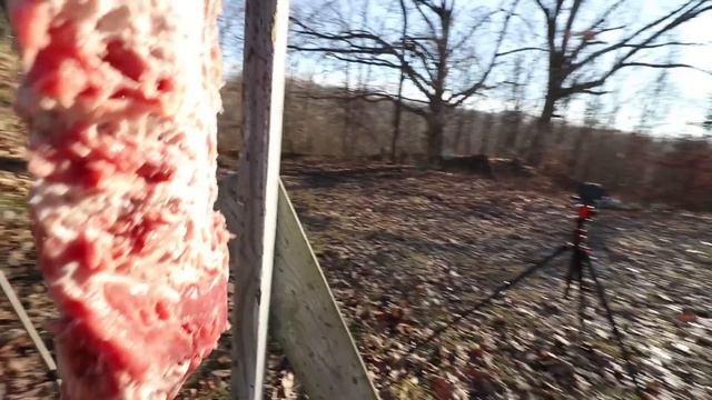 Shotguns vs MEAT & BONE! *12 Gauge vs 20 Gauge* смотреть онлайн