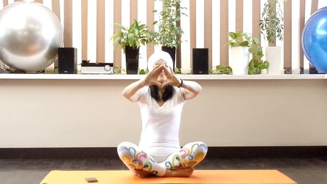 Медитация с мантрой Сат Нараян Вахе Гуру / Sat Narayan Wahe Guru Peace Meditation смотреть онлайн