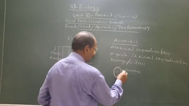 XII Biology Lecture 11 смотреть онлайн