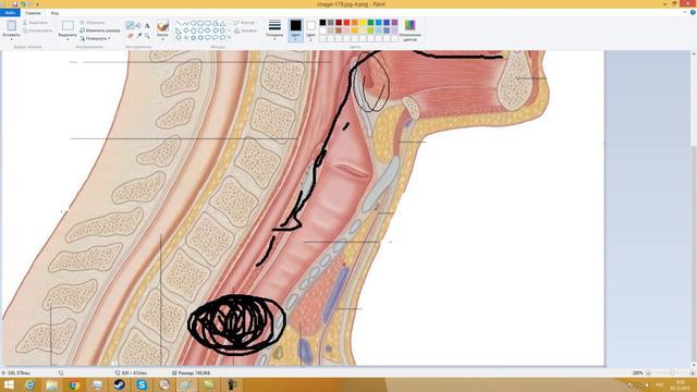 О настройках звука микрофона смотреть онлайн