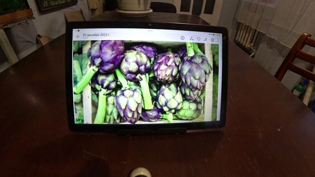 Экзотика в саду. Артишок