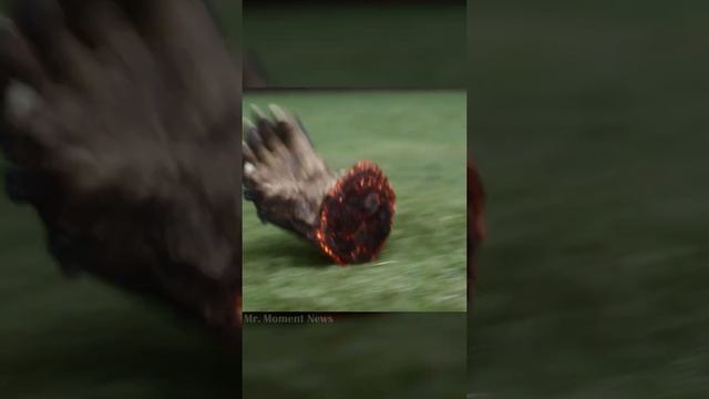 Вонг, будете почетным гостем на свадьбе! Вонг отрубает руку Кулл Обсидиану с помощью портала #short смотреть онлайн