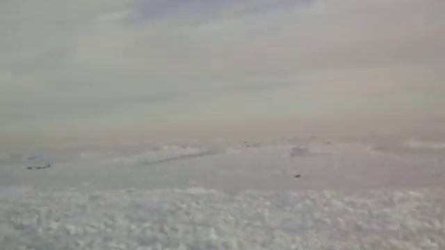 Мороз -16оС, С-В ветер, лебеди.18.2.2011./ор./ смотреть онлайн