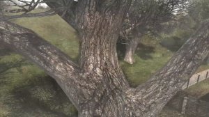 Тайник Фаната в Деревне Новичков