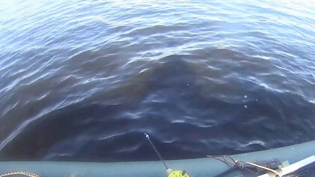 Карелия. Рыбалка на щуку и окуня. Озеро Вохтозеро. #капитанандрейфёдоров смотреть онлайн