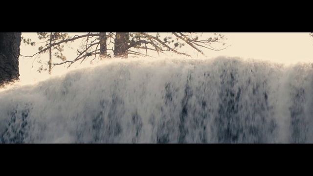 Tremble | Without Words: Genesis