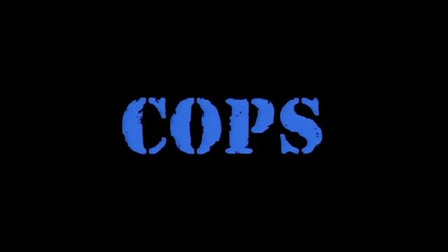 Suspect Caught Hiding In Bush After High Speed Police Chase | Cops | Real Responders смотреть онлайн