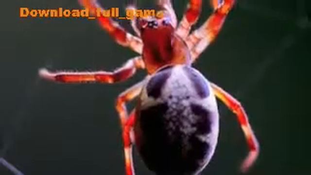 Arachnophobia смотреть онлайн