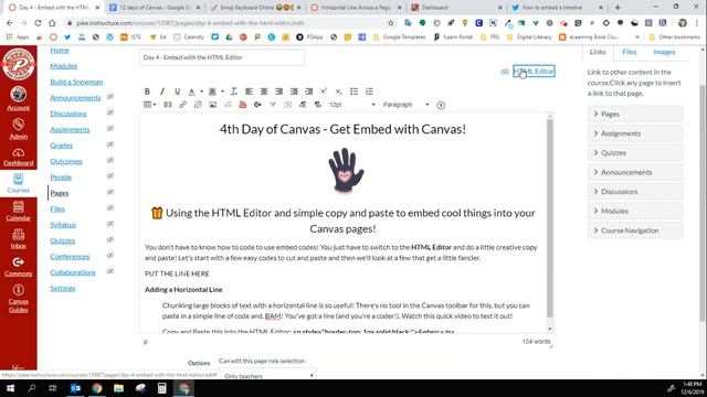 HTML Editor in Canvas to add a horizontal line