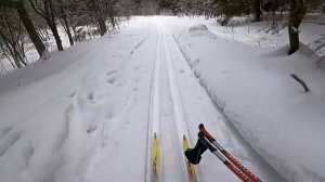 Выходной по русски: топ зимних развлечений