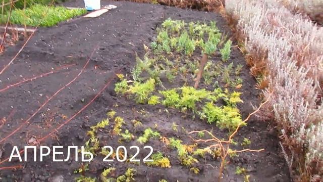 СЕВООБОРОТ НА ДАЧЕ. Пример одного участка. смотреть онлайн