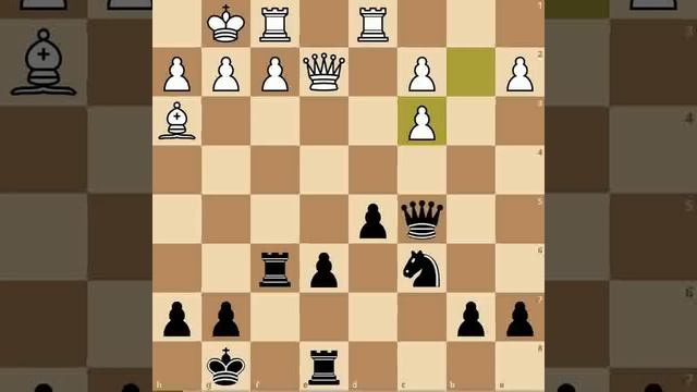 The gold coin shower move |best chess game | Levitsky vs Marshall | new chess tricks| must watch смотреть онлайн