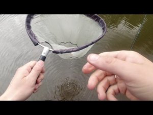 #252 | Мормышинг | Микро ручей | Крупная плотва |