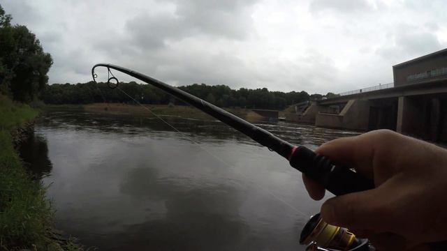 Тебя я точно не ждал на джиг. Рыбалка на хищника с берега. Рыбалка на спиннинг. смотреть онлайн