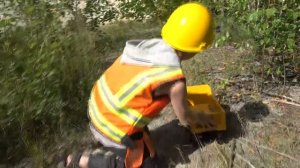 ГРУЗОВИКИ для Детей на ПЕСКЕ и Даник. Играем машинками в КАРЬЕРЕ. Экскаватор САМОСВАЛ Трактор