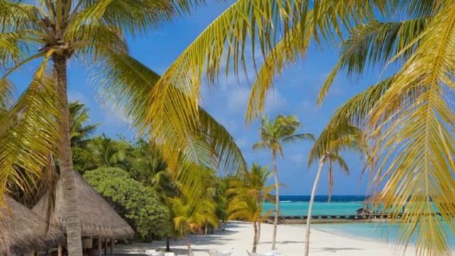 Отели Мальдив. Maafushivaru Maldives 4*. Дангети. Обзор смотреть онлайн