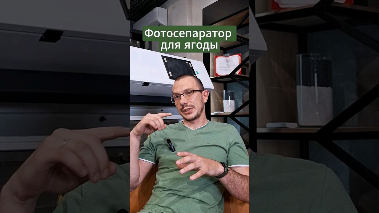 Сортируете ягоду руками? #сельскоехозяйство #ягода #фермерство #ферма #фотосепаратор #облепиха смотреть онлайн