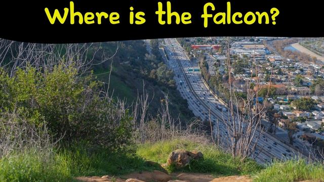 FIND THE ANIMAL game | Can you find the hidden animals? смотреть онлайн