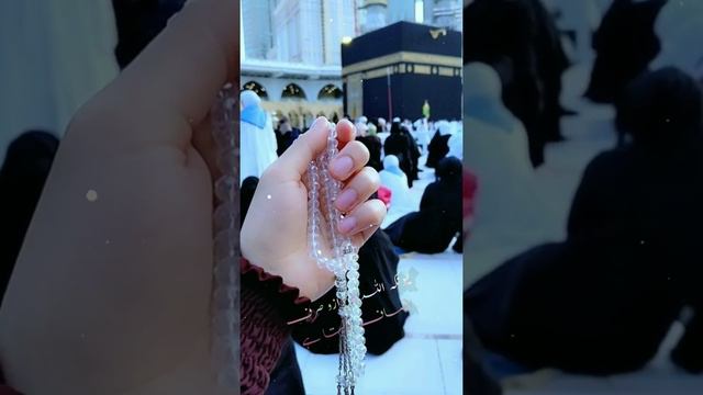 تیری ہر عطا پر الحمداللّہ میری ہر خطا پر استغفر اللّہ || Islamic WhatsApp status🥀 short video смотреть онлайн