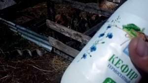 У КУРОЧЕК ПОНОС ЧТО ДЕЛАТЬ