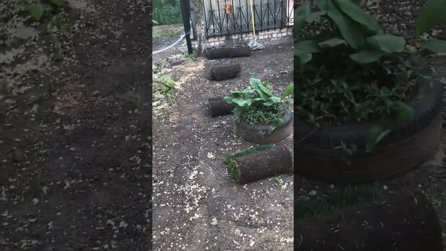 ООО БИК ЗАМЕТАЕТ БЫСТРЕНЬКО СЛЕДЫ смотреть онлайн