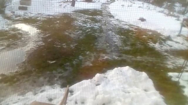 Гимнастика для похудения кошек! смотреть онлайн