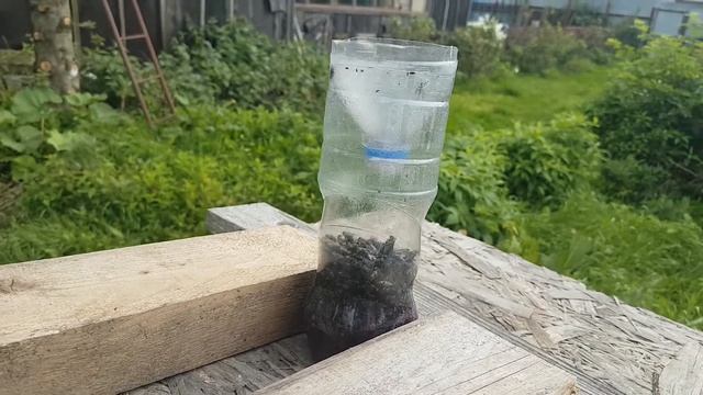 Ловушка для Ос и Мух смотреть онлайн