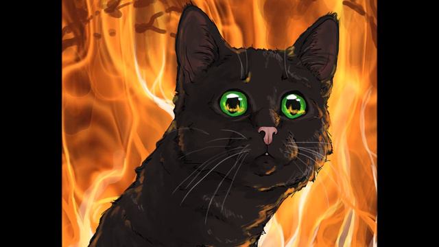 warrior cats amv wake me up iside смотреть онлайн