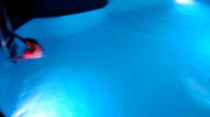 Отдых в Лоо в гостевом домике Ирина 👍