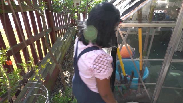 My 2 Cents On Greenhouses | My Greenhouses | Learn Something About Greenhouse