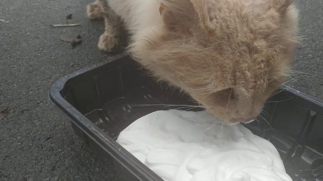 Не могу пройти мимо старичка