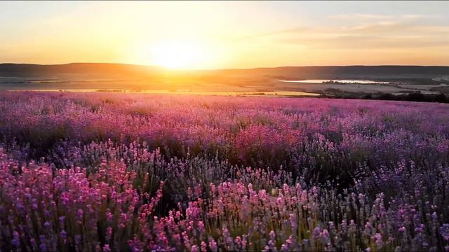 Lavender Sunset (no distortion relaxing) смотреть онлайн