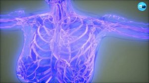 Вред микроволновки, какие продукты нельзя разогревать!