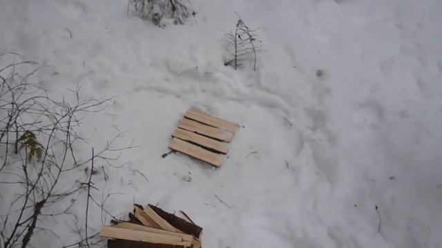 Вылазка в зимний лес и готовка лесного чая . смотреть онлайн