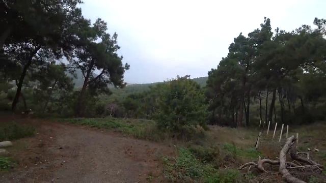 Стамбул. Осень. Часть 2. Адалар. смотреть онлайн