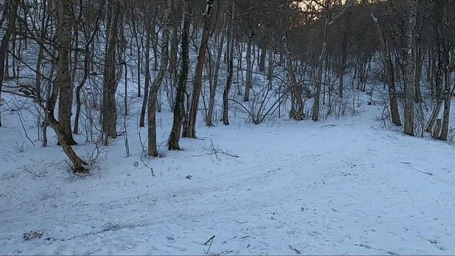 48 ЧАСОВ В ЛЕСУ. КАК ВЫЖИТЬ ЗИМОЙ В КРЫМСКИХ ГОРАХ. смотреть онлайн