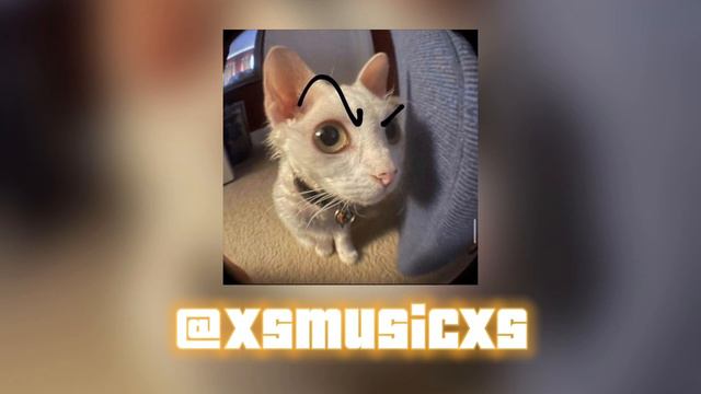 DOLINOV - Круговорот Speed Up