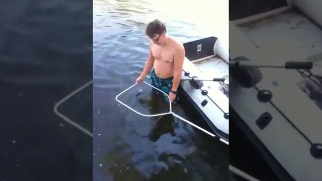 Сазан на даче смотреть онлайн