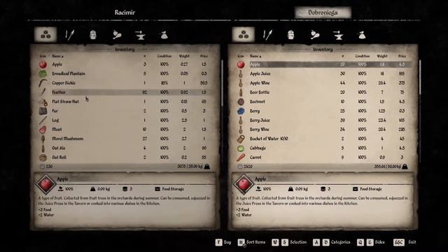 MEDIEVAL DYNASTY Gameplay - Ep.2 - Expansion (Well, Storage, Villager) смотреть онлайн
