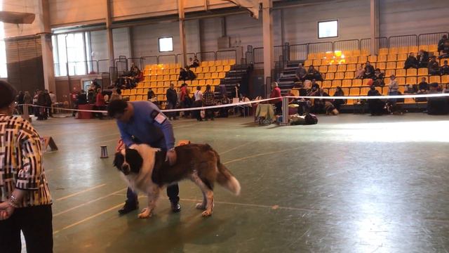 IMG 0811 смотреть онлайн