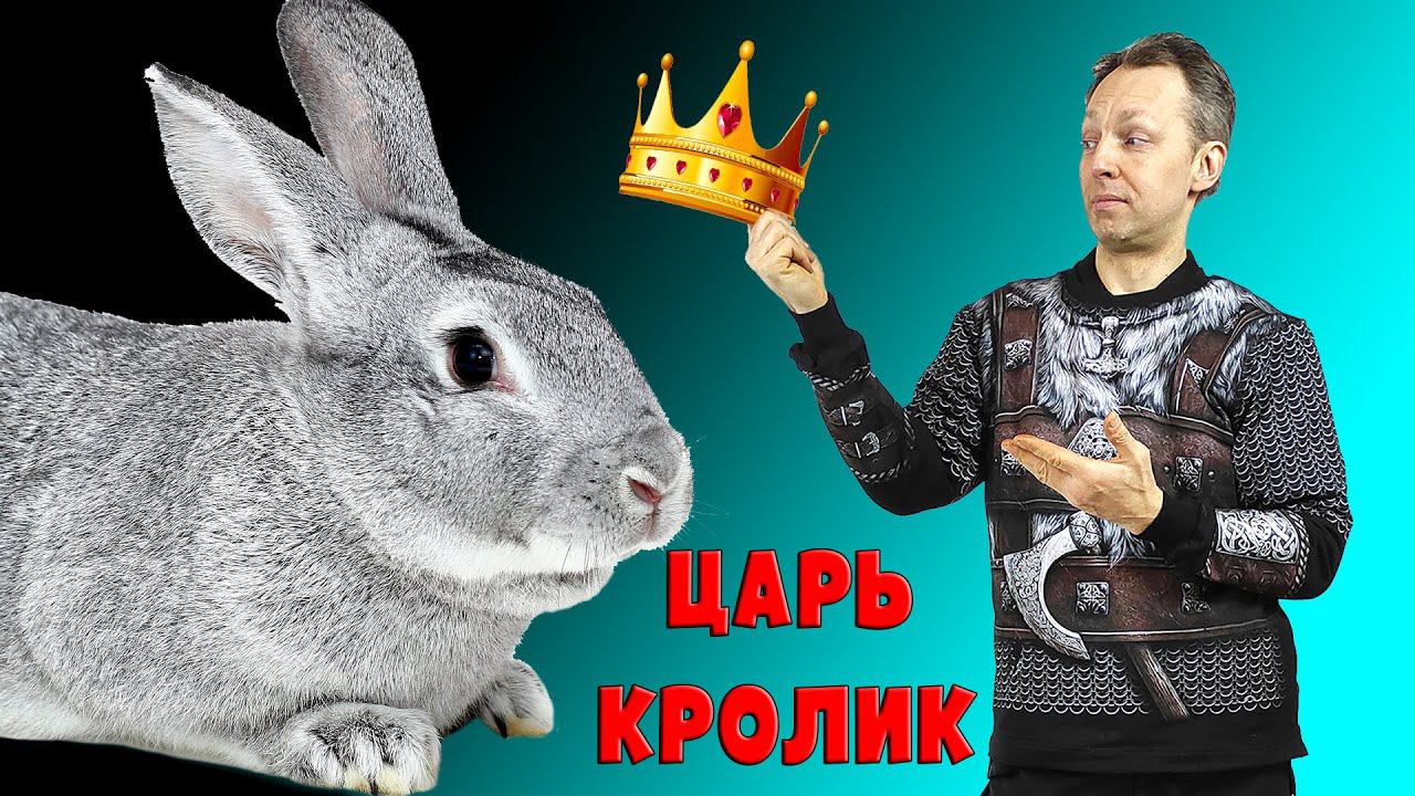 Как живет Царь-кролик? смотреть онлайн