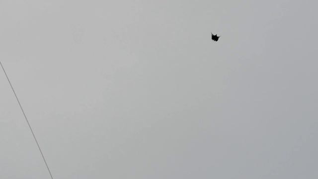 ГОЛУБИ ЛОЗОВАТСКОГО. 1 февраля 2022г. Тел.38 050 707 57 21 смотреть онлайн