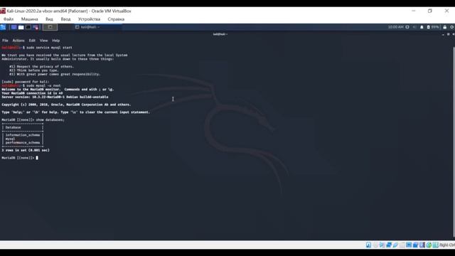 5. Настройка базы данных MySQL на Kali Linux смотреть онлайн