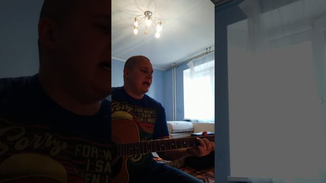 чиж и ко сенсемилия. смотреть онлайн