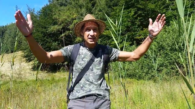 53. DROSERA ROTUNDIFOLIA IN NATURA. SFAGNETA A 1300 MT SLM. CONOSCENZA CONSERVAZIONE E TUTELA. смотреть онлайн