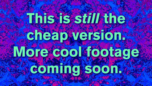 Night in the Wild (cheap version) смотреть онлайн