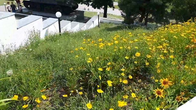 Еще одна задачу ???достигнута /Поездка в Национальный заповедник Высота Маршала Конева
