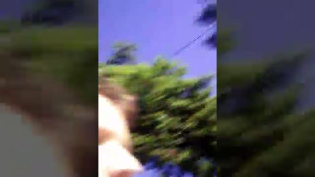 Поймали Желтопузика и что с ним делать смотреть онлайн