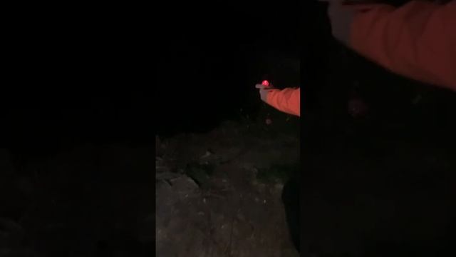 Сом на Печень #fishing #рыбалка